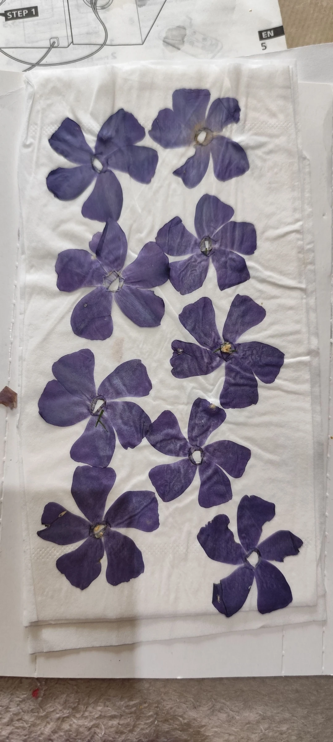 Brincos #XXL #Flores Azuis 💙💙 – photo 11